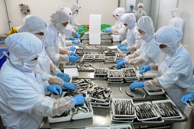 Company Visit Proses Bekerja Packing Di Pabrik Pengolahan Makanan